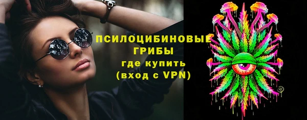 ГАЛЛЮЦИНОГЕННЫЕ ГРИБЫ Алексеевка