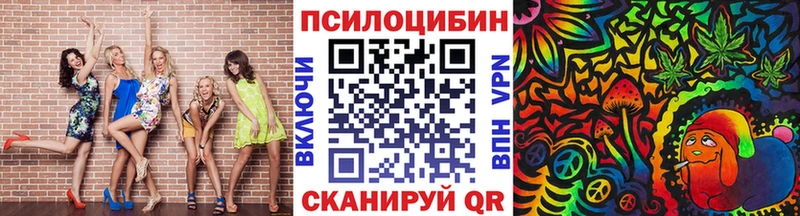 Галлюциногенные грибы Psilocybine cubensis Ликино-Дулёво